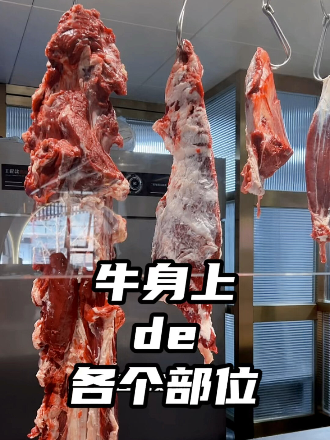 牛身上的各个部位,你都认全了吗?