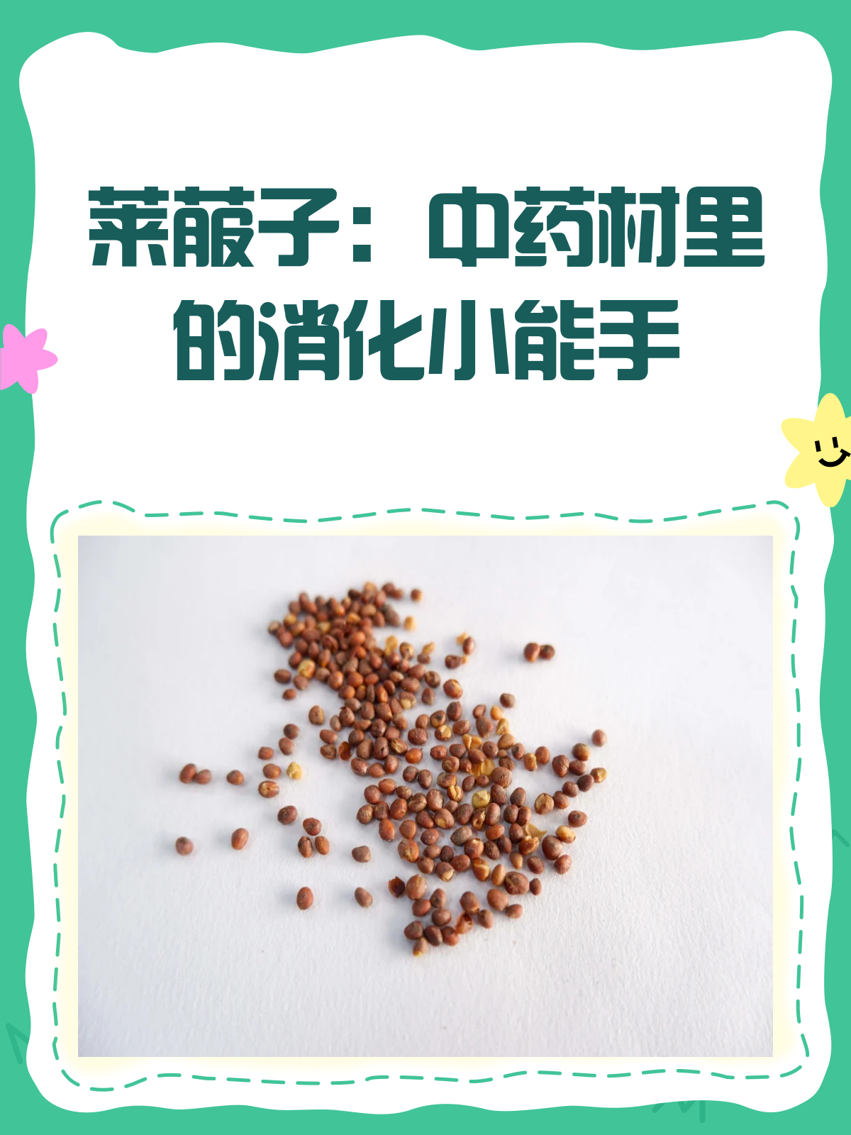 莱菔子:萝卜籽里的消化神器!