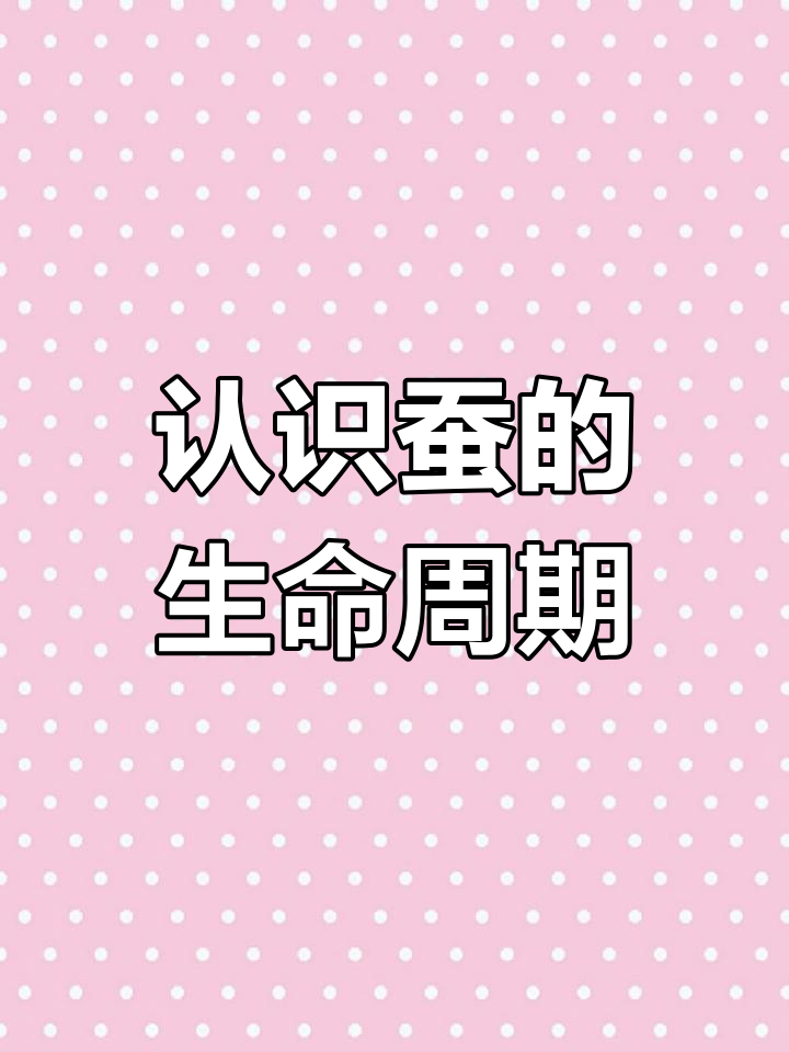 了解蚕的身体结构与生命周期