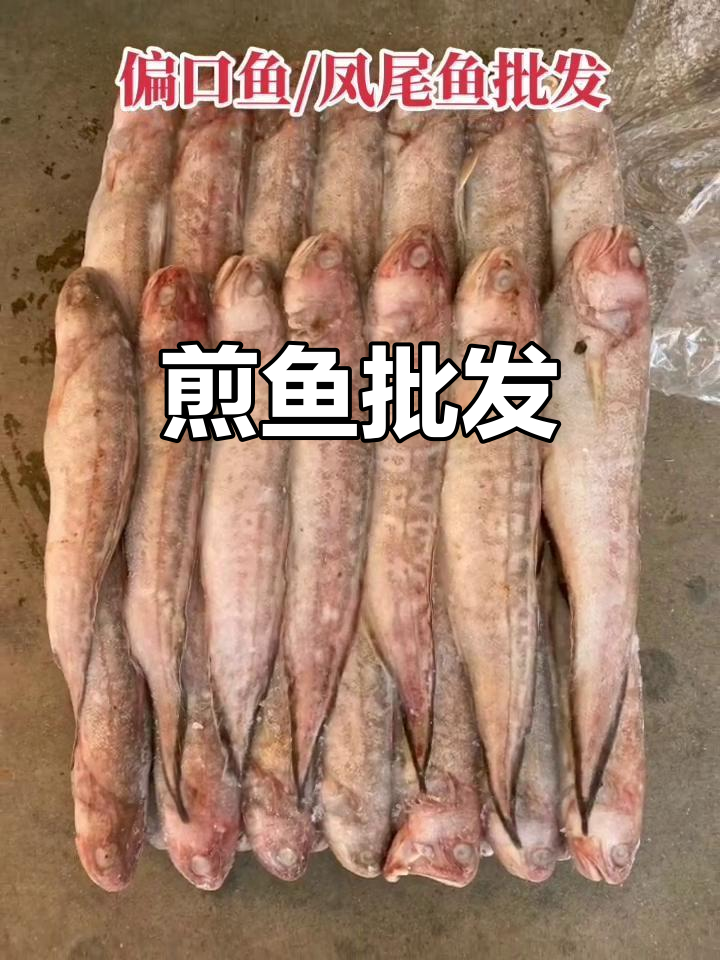 偏口鱼凤尾鱼批发,网红煎鱼一手货源