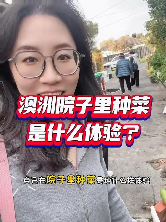 澳洲在自家院子种菜是种什么体验 澳洲有些蔬菜是珍贵!特别是我作为湖南人 必须的辣椒,生姜这