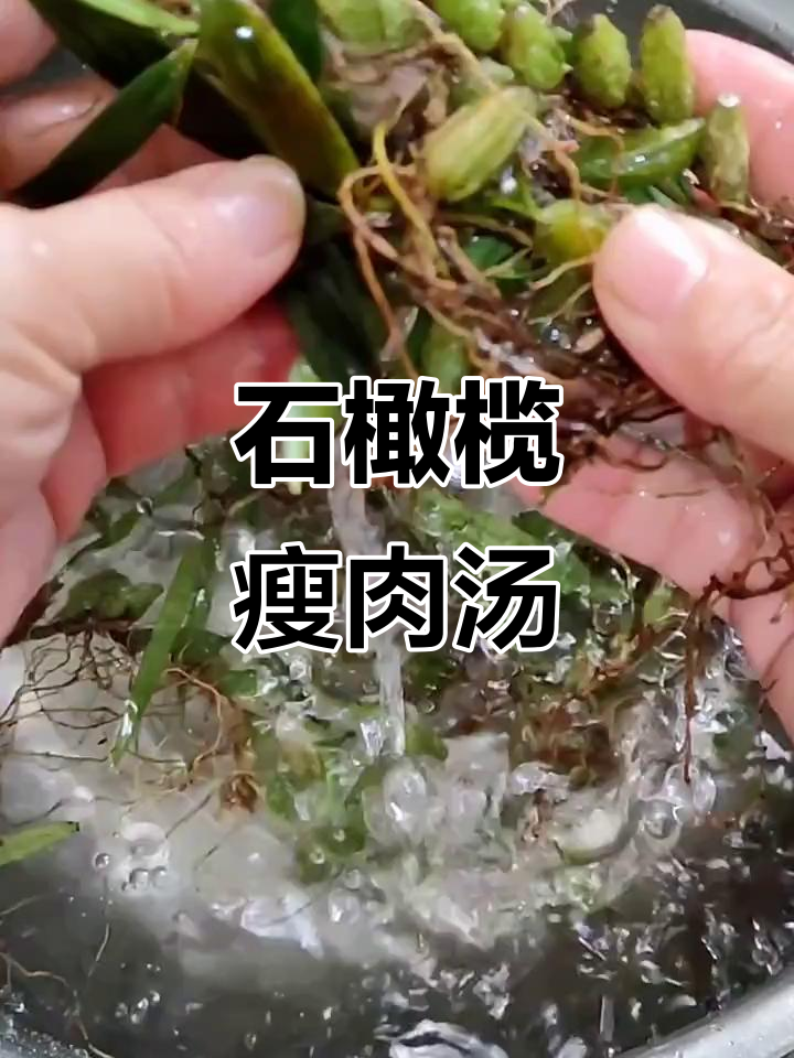 石橄榄瘦肉汤,润喉又降火,清热效果超赞