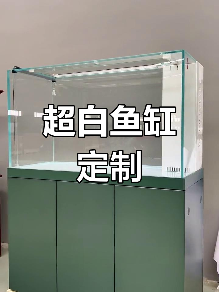定制超白鱼缸,风水尺寸完美搭配,龙鱼养殖必备