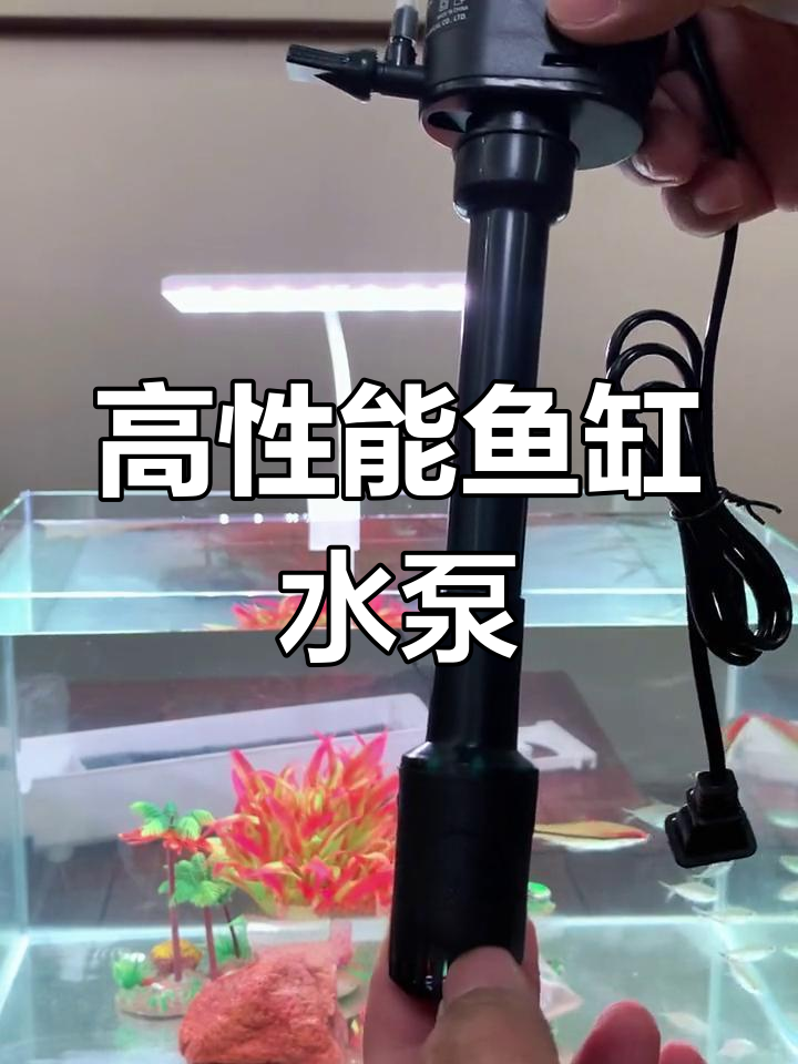 鱼缸水泵:增氧过滤与造浪效果