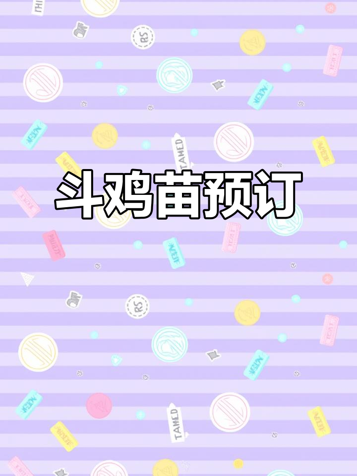 纯种斗鸡苗,4-5天一批,预定从速!