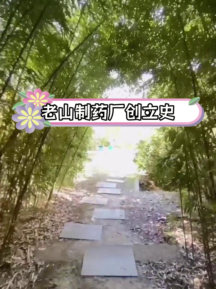 南京老山药业股份有限公司的历史与发展