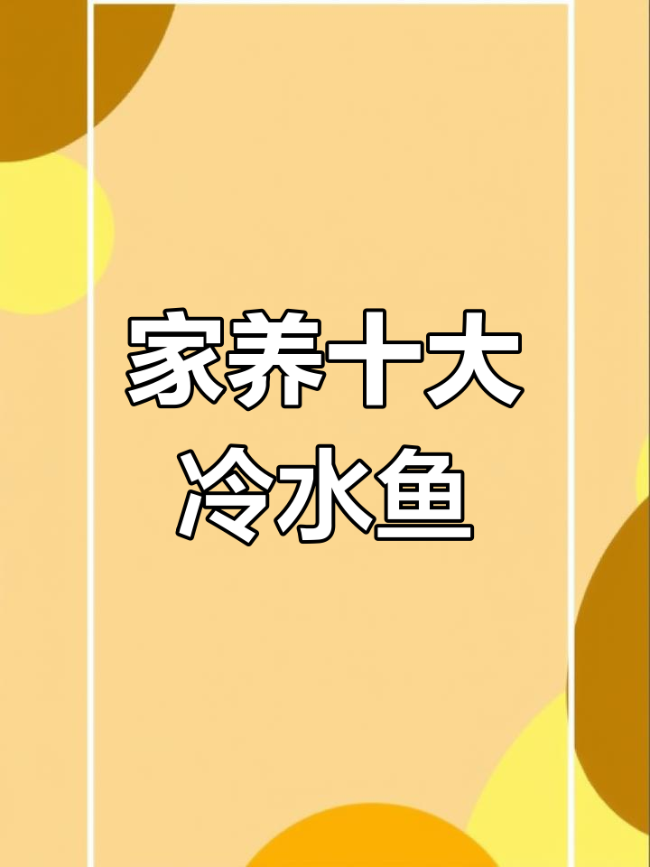 适合家养的十种冷水鱼,轻松掌握养殖技巧