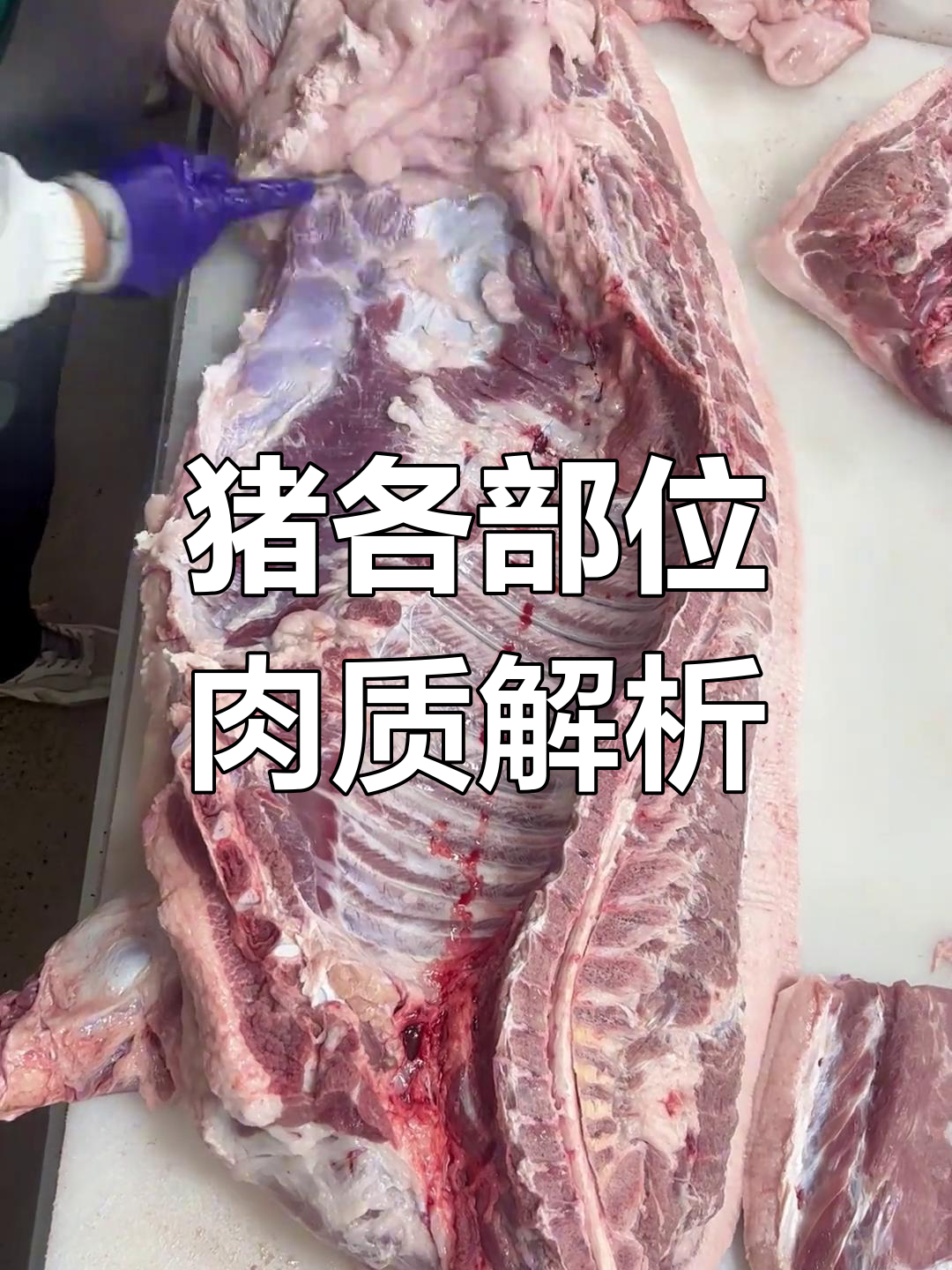 了解猪肉不同部位的特点与做法,学会分割技巧
