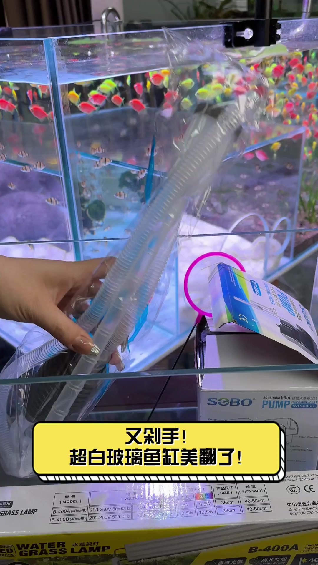 又剁手!超白玻璃鱼缸美翻了!