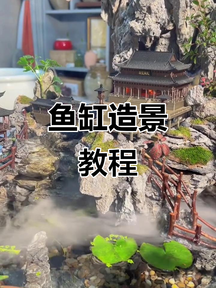 鱼缸造景全攻略，打造自然生态微景观