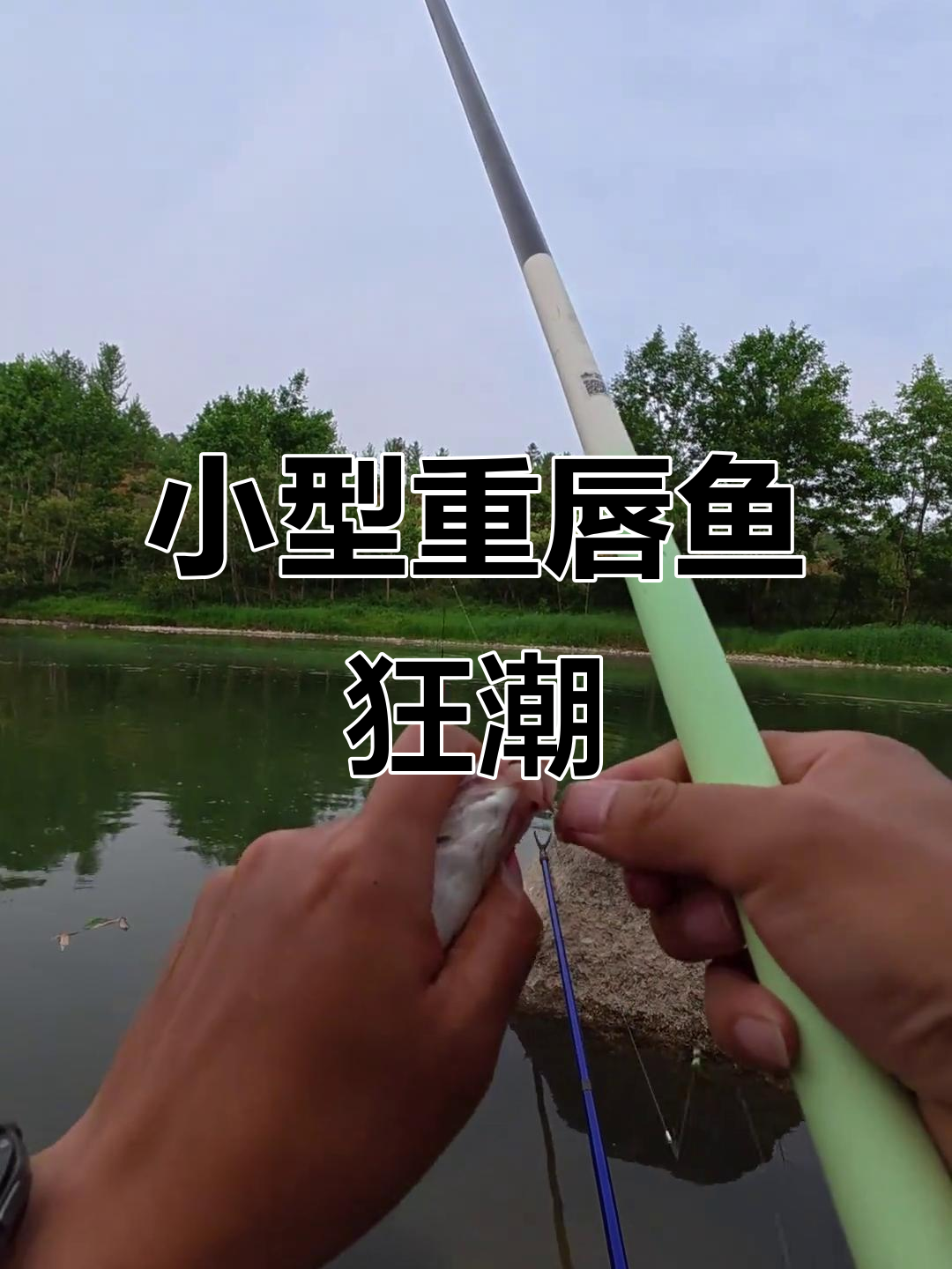 野钓重唇鱼,小家伙不断挑战我!
