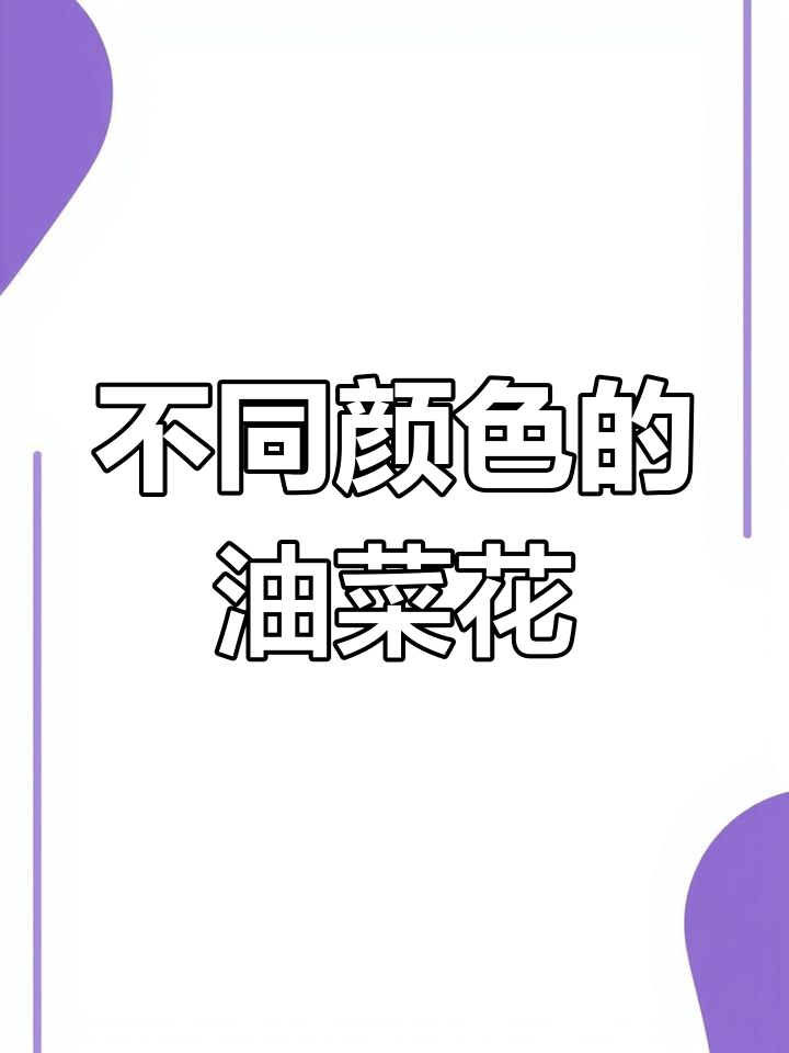 油菜花不止黄色,这些颜色你见过吗?