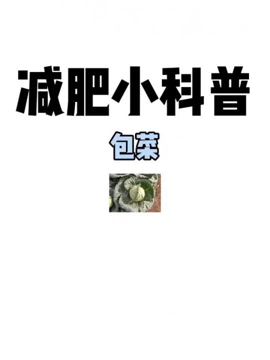减肥小科普「包菜」