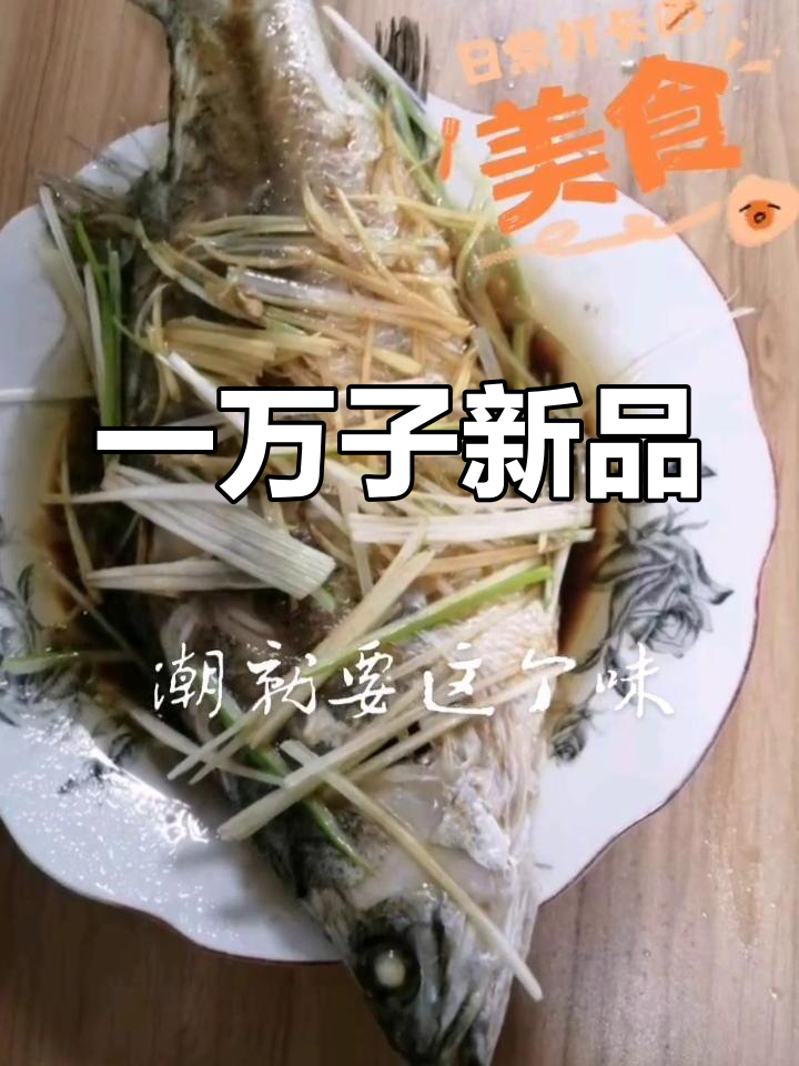 陶教哥哥新作,惊艳亮相