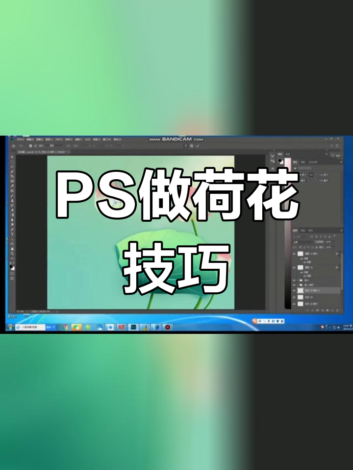 使用PS制作荷花效果