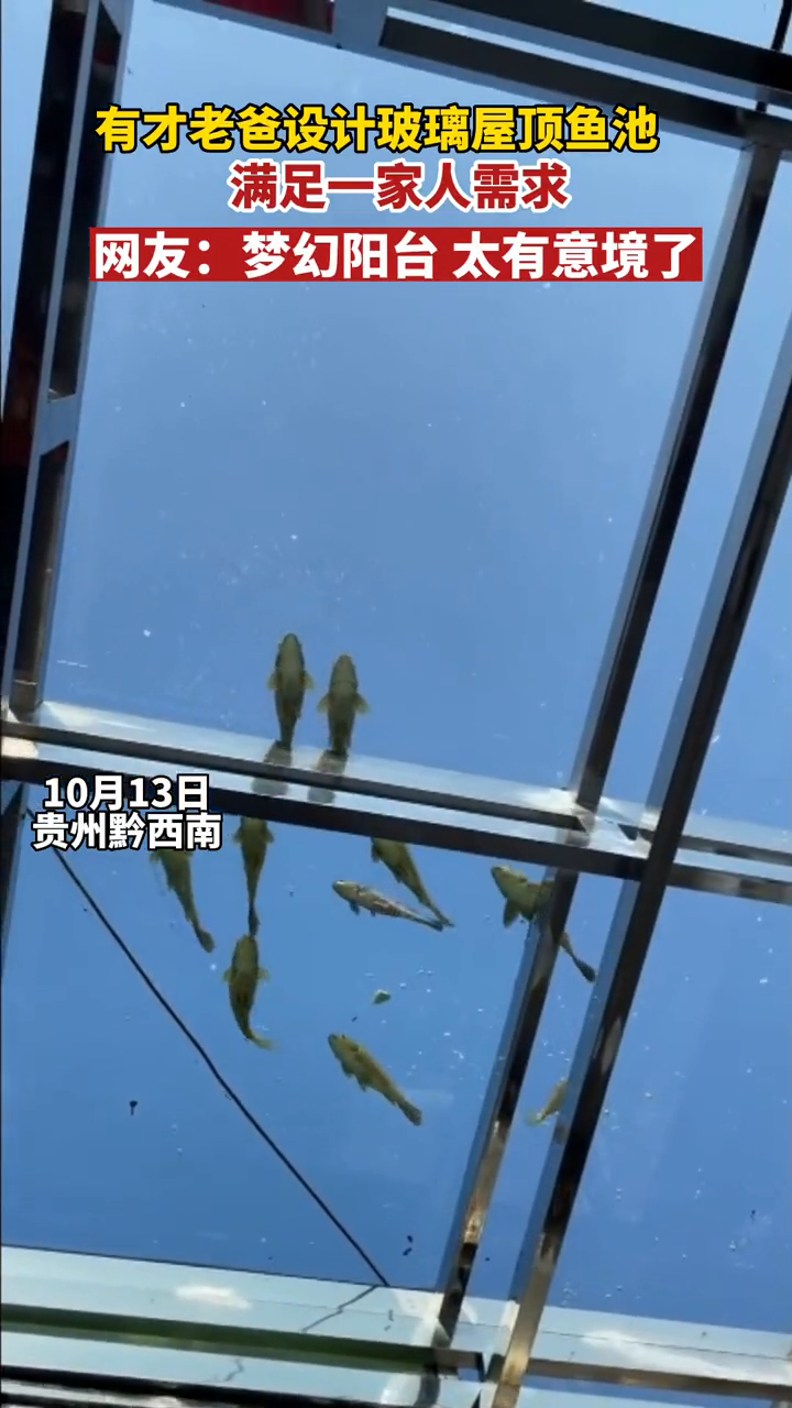 有才老爸设计透明玻璃屋顶鱼池,满足一家人需求,太有意境了!