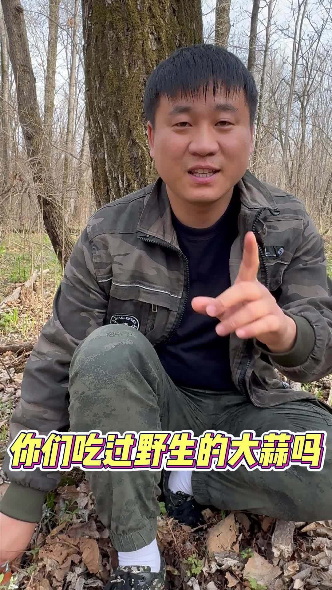 东北的野生大蒜，野生菠萝你见过吗？记录真实生活