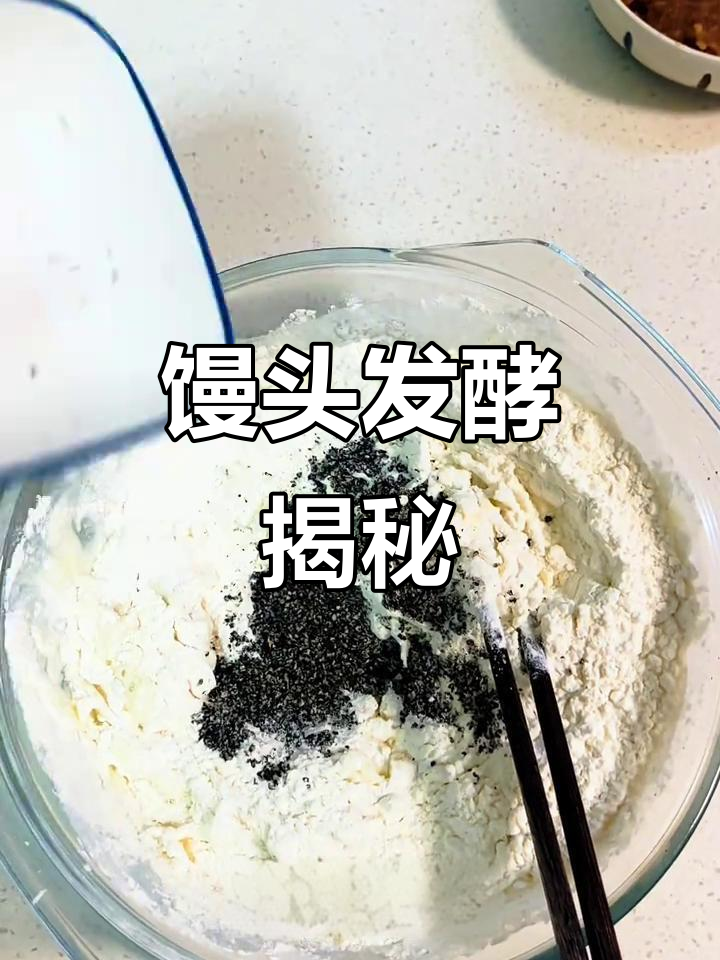 探索红枣黑芝麻馒头的发酵过程与原理
