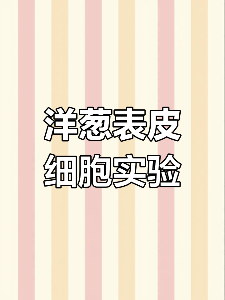 洋葱表皮细胞显微镜观察:从切片到染色全过程