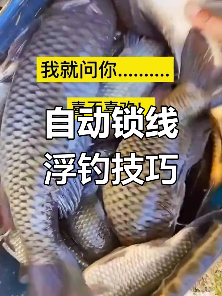 钓鱼不再难,自动锁线鱼漂让抛竿更轻松