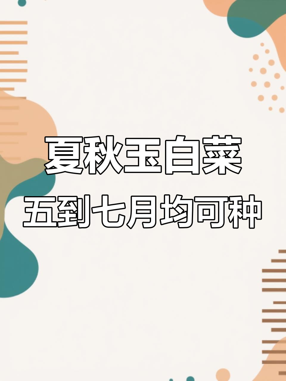 夏季白菜种植技巧,耐热抗湿品种推荐