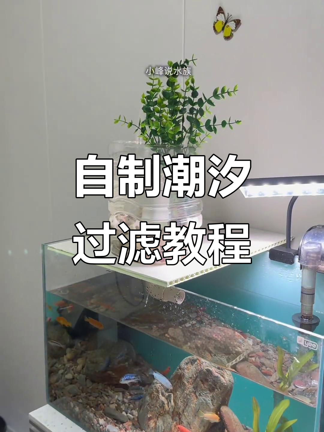 简单步骤教你制作潮汐过滤器,轻松打造鱼缸自然循环