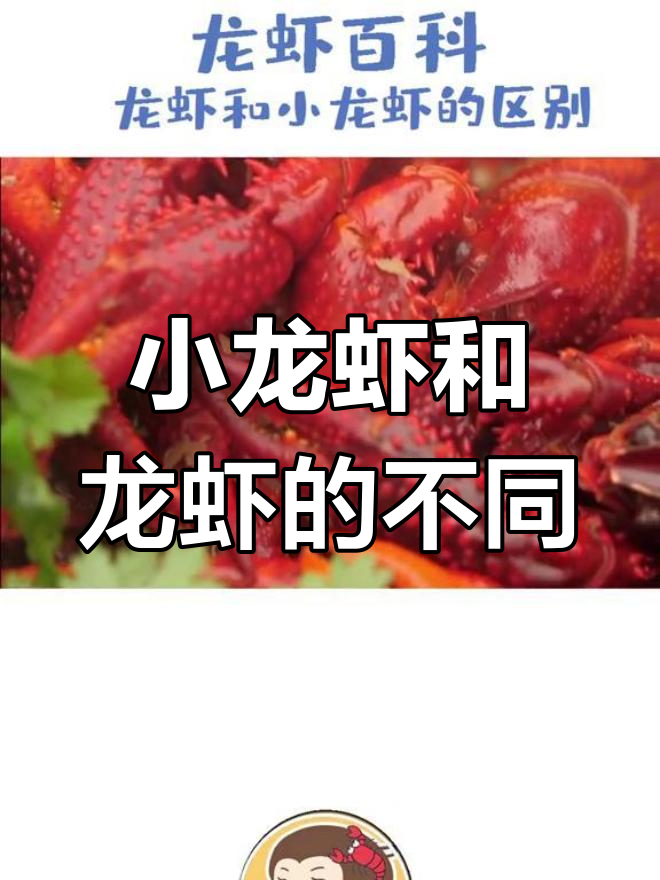 小龙虾与龙虾的区别解析