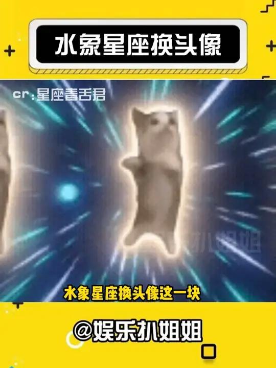 你认识的水象朋友是这样的吗?水象星座天蝎座巨蟹座双鱼座娱乐评论大赏cr
