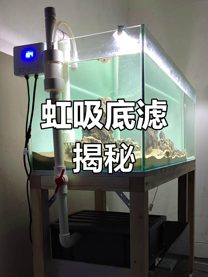 虹吸底滤管全解析,工作原理一网打尽!