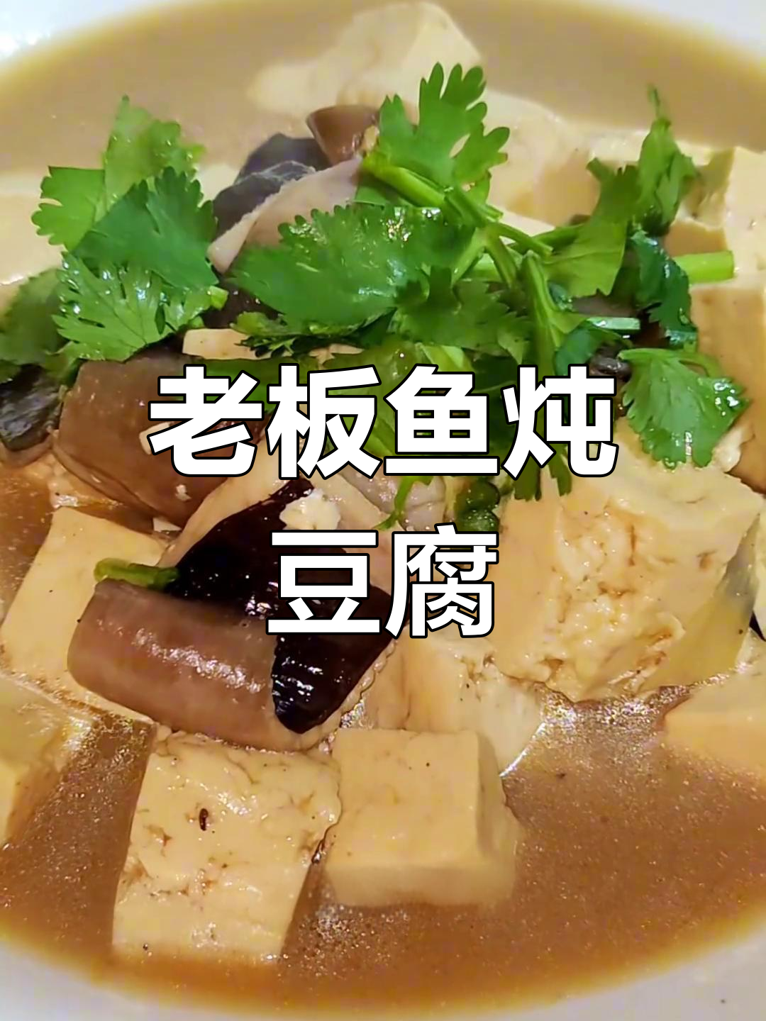 老板鱼炖豆腐,鲜香到停不下来!家常味十足