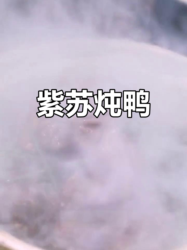 紫苏焖青头鸭,滋补又美味