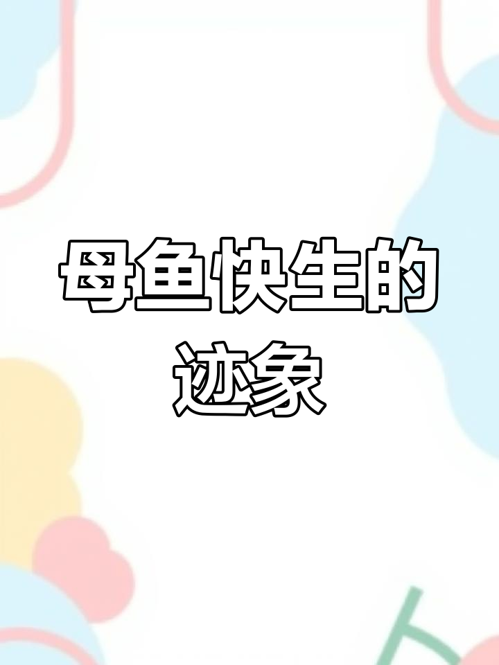 孔雀鱼下崽前的信号解析