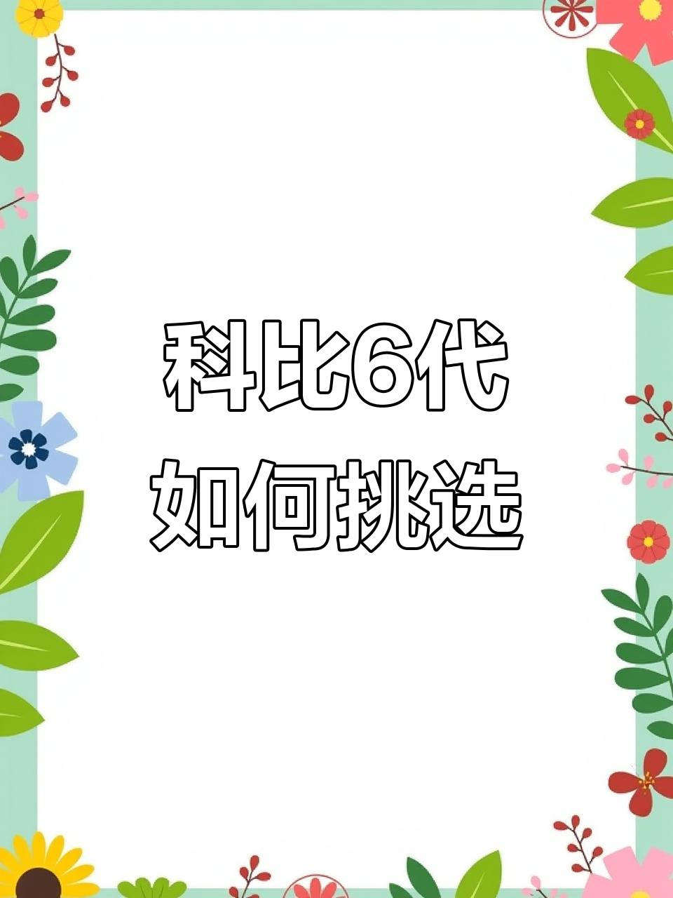 科比6代怎么选?新配色值得入手,价格实惠!
