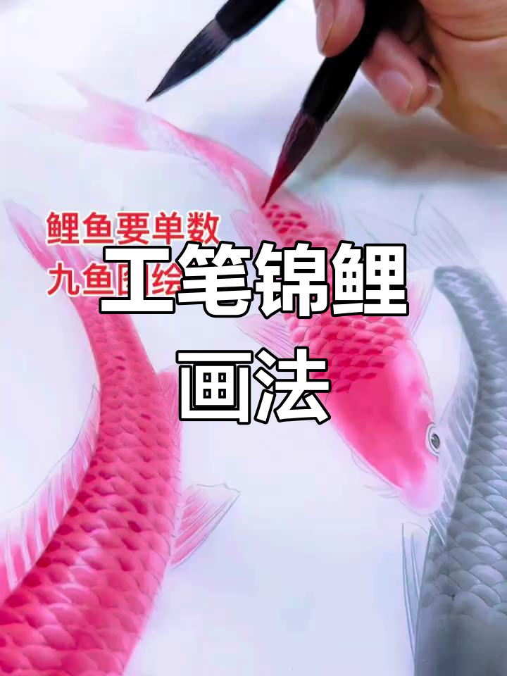 纯手绘锦鲤鱼,传承工笔画技艺