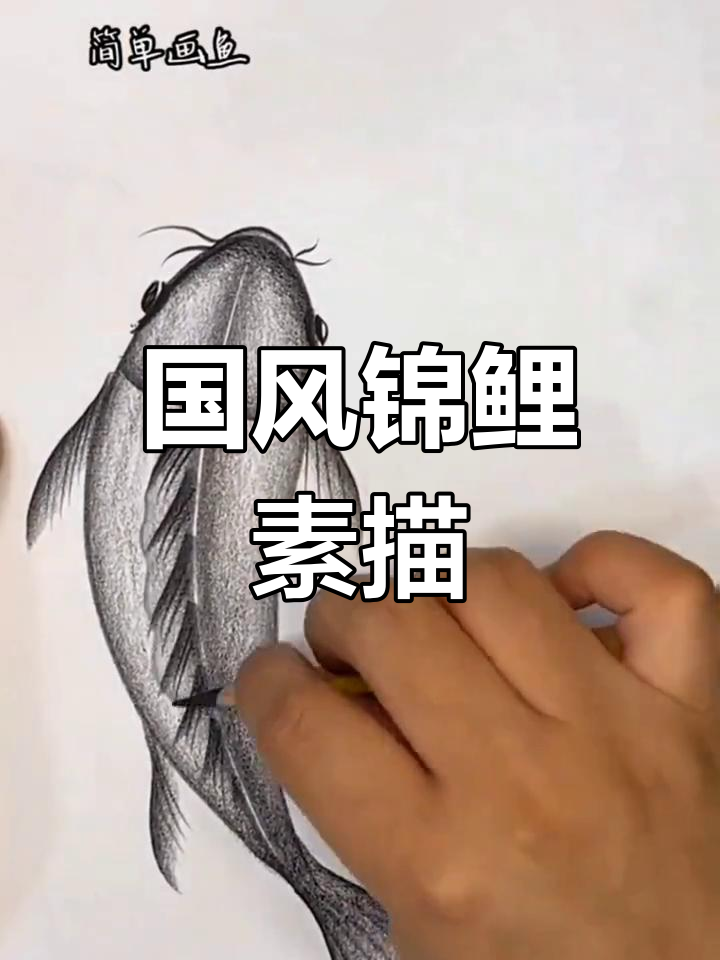 创意国风素描：锦鲤轻松画，零基础也能学会