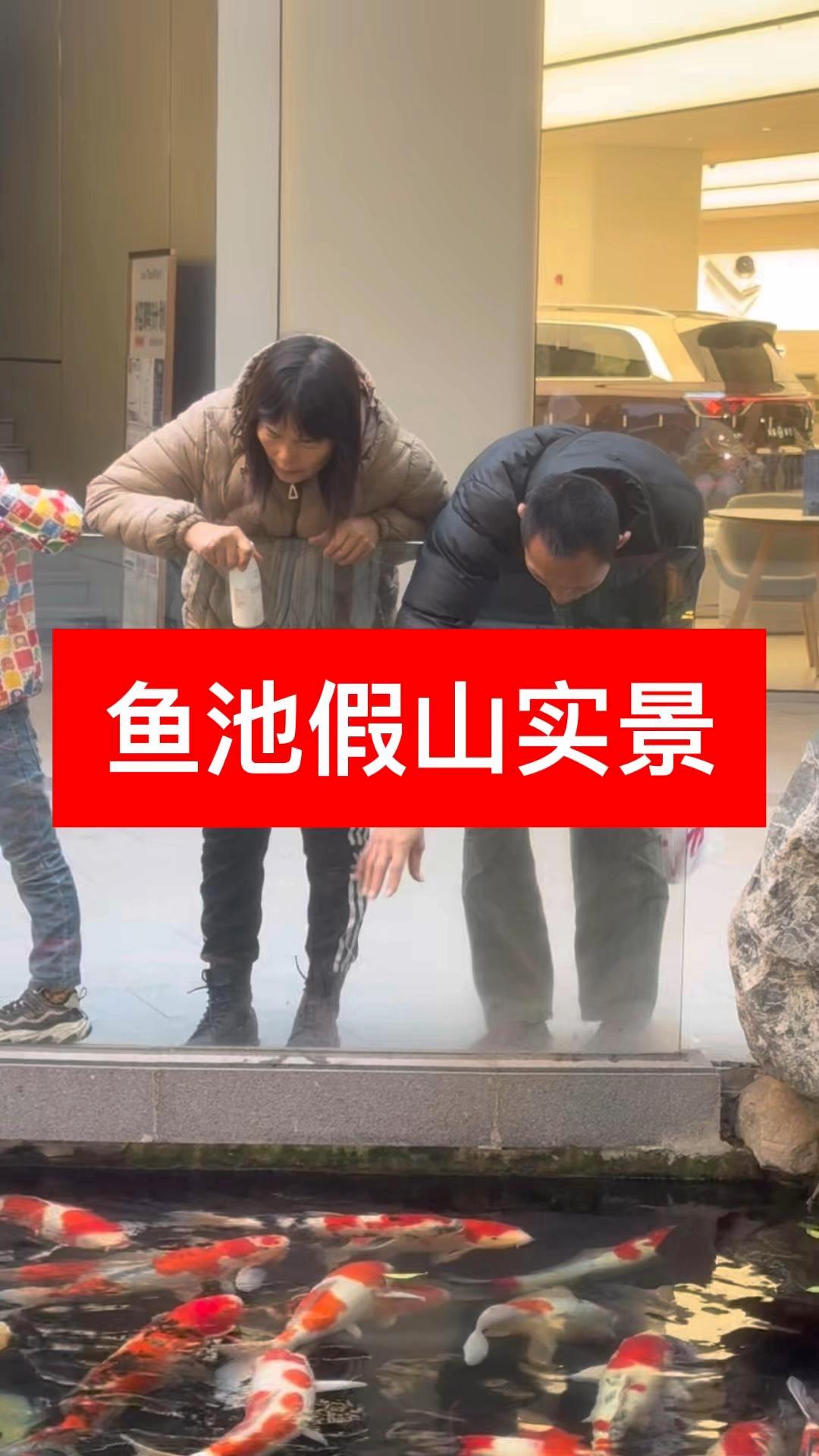 鱼池假山实景，惊艳的视觉盛宴！