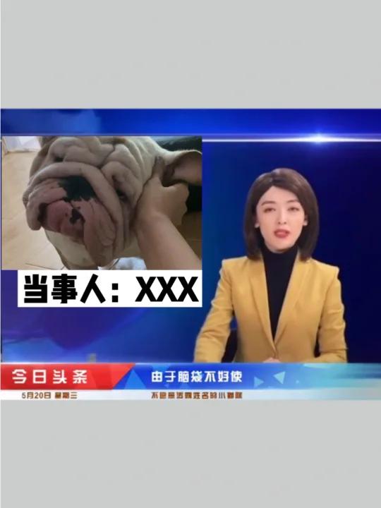 看上去不太聪明的样子 不是一天两天了