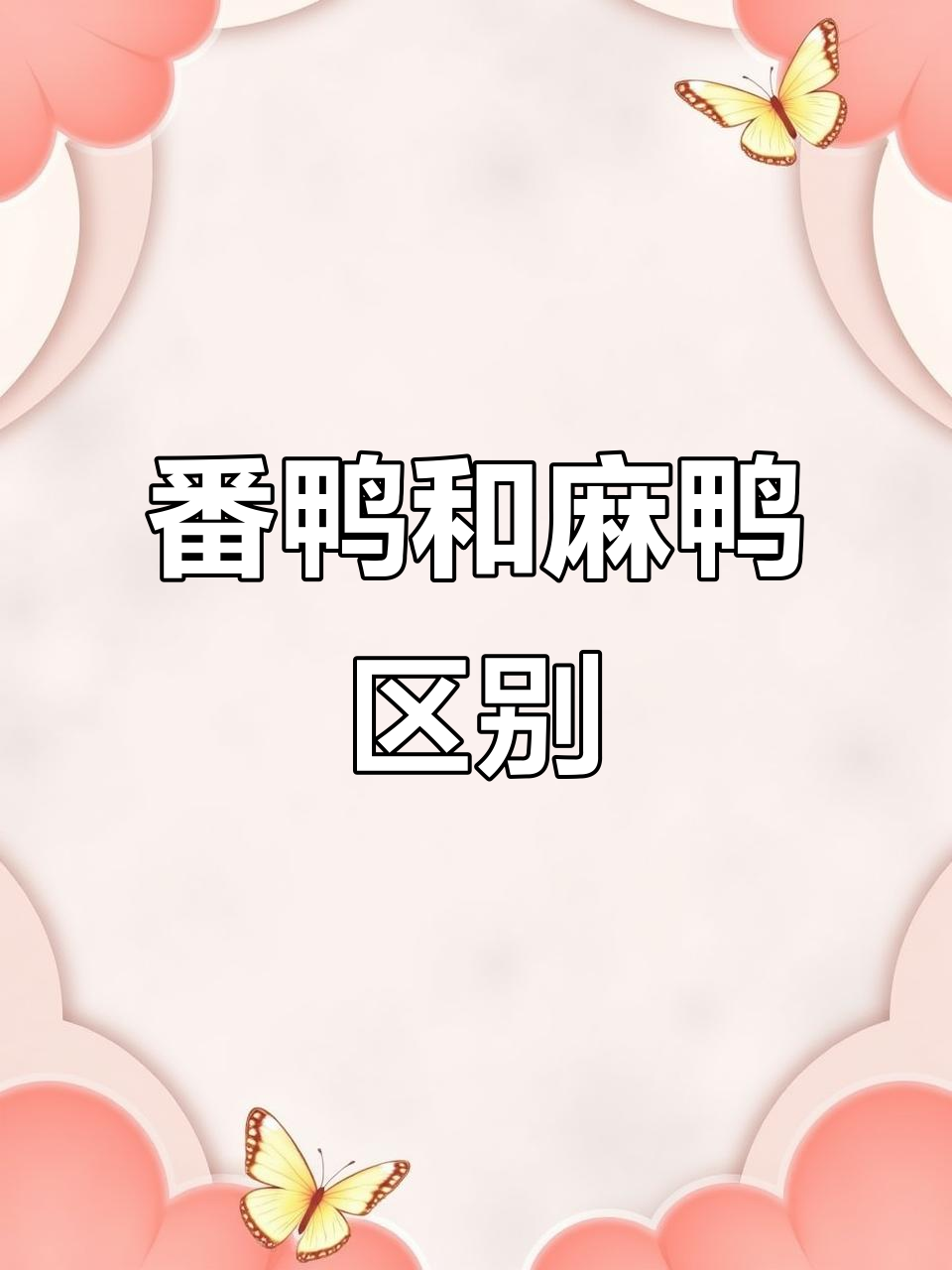 番鸭与麻鸭的区别:体型、习性、用途全解析