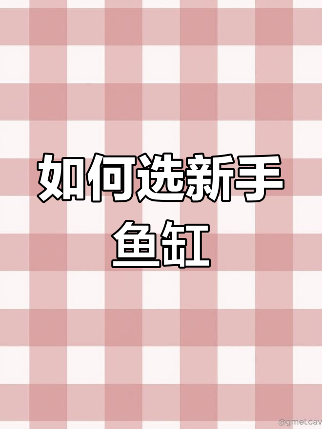 新手养鱼必看:如何挑选合适的鱼缸