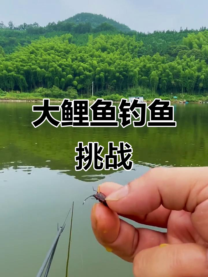 夜钓大鲤鱼,玉米挂尾技巧揭秘