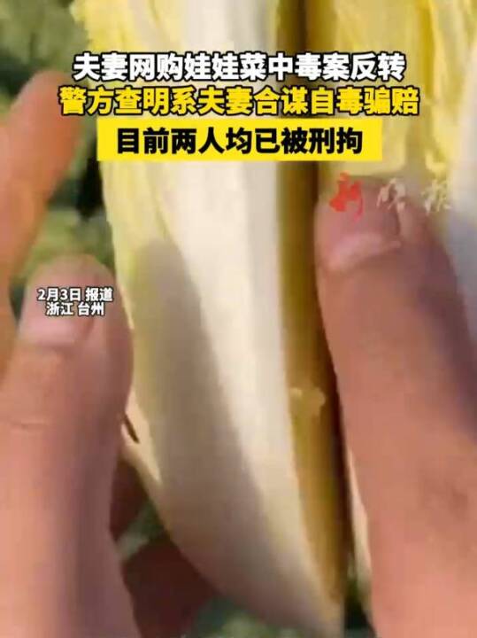 夫妻网购娃娃菜中毒案反转，警方查明系夫妻合谋自毒骗赔，目前两人均已被刑拘。#骗赔#夫妻网购