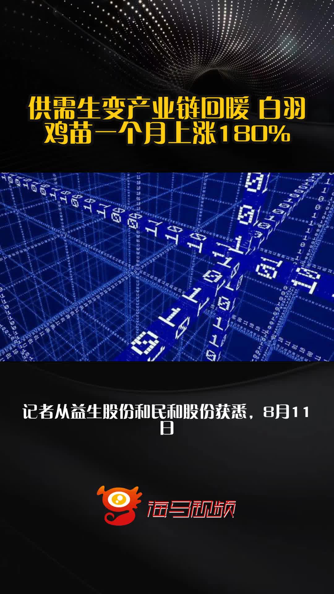 供需生变产业链回暖 白羽鸡苗一个月上涨180%
