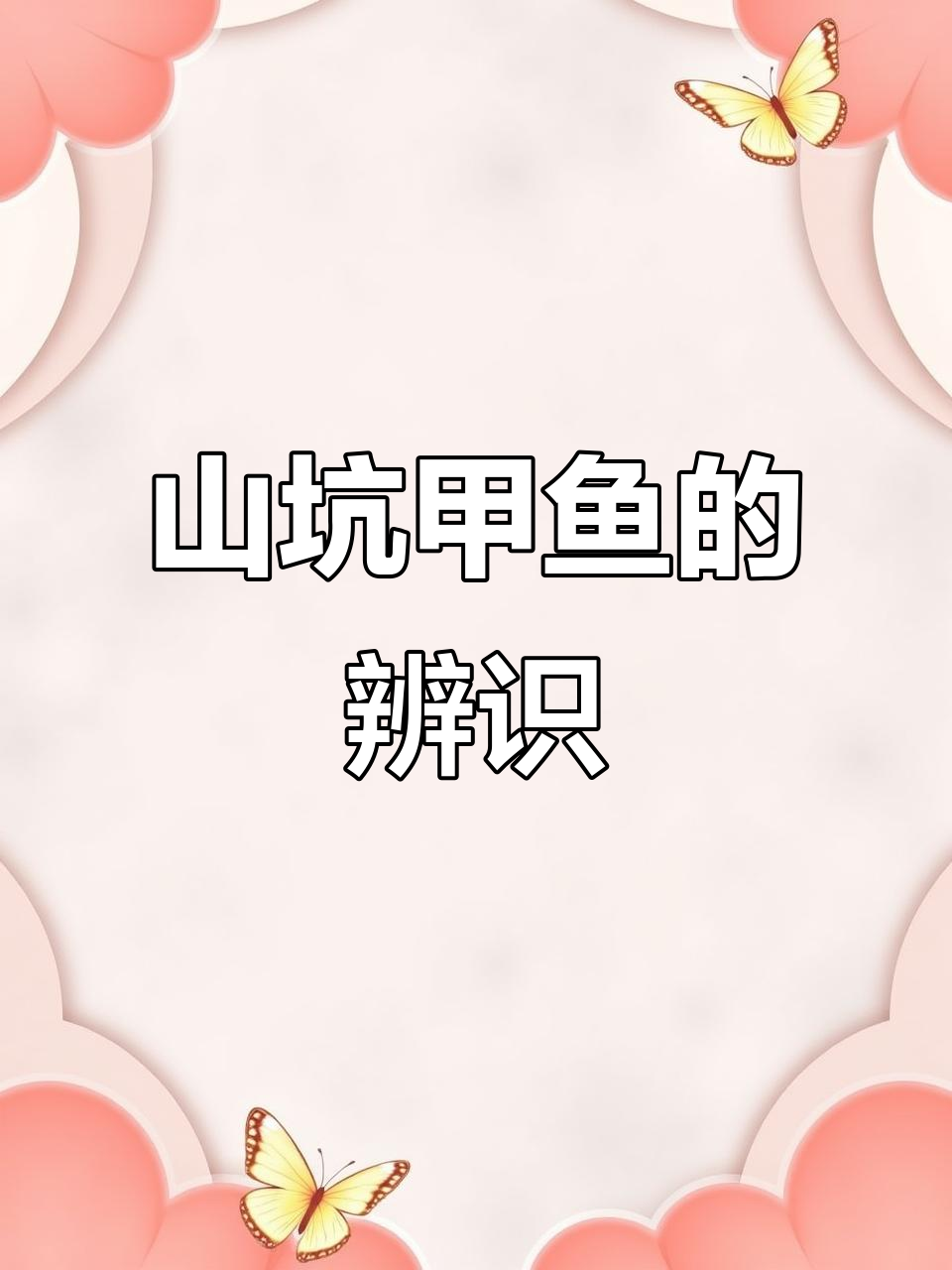 两个甲鱼,山坑货还是土货?看底板和特征辨别