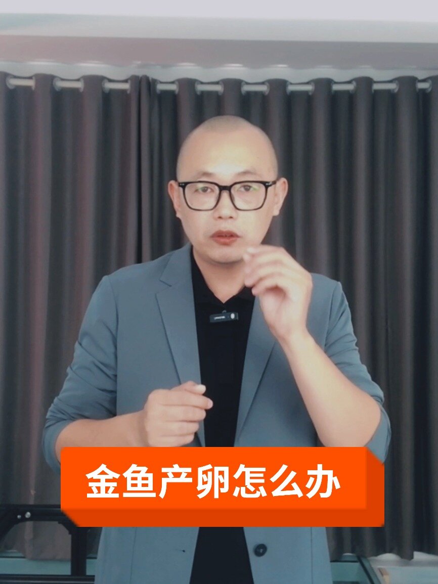 金鱼产卵了怎么办?