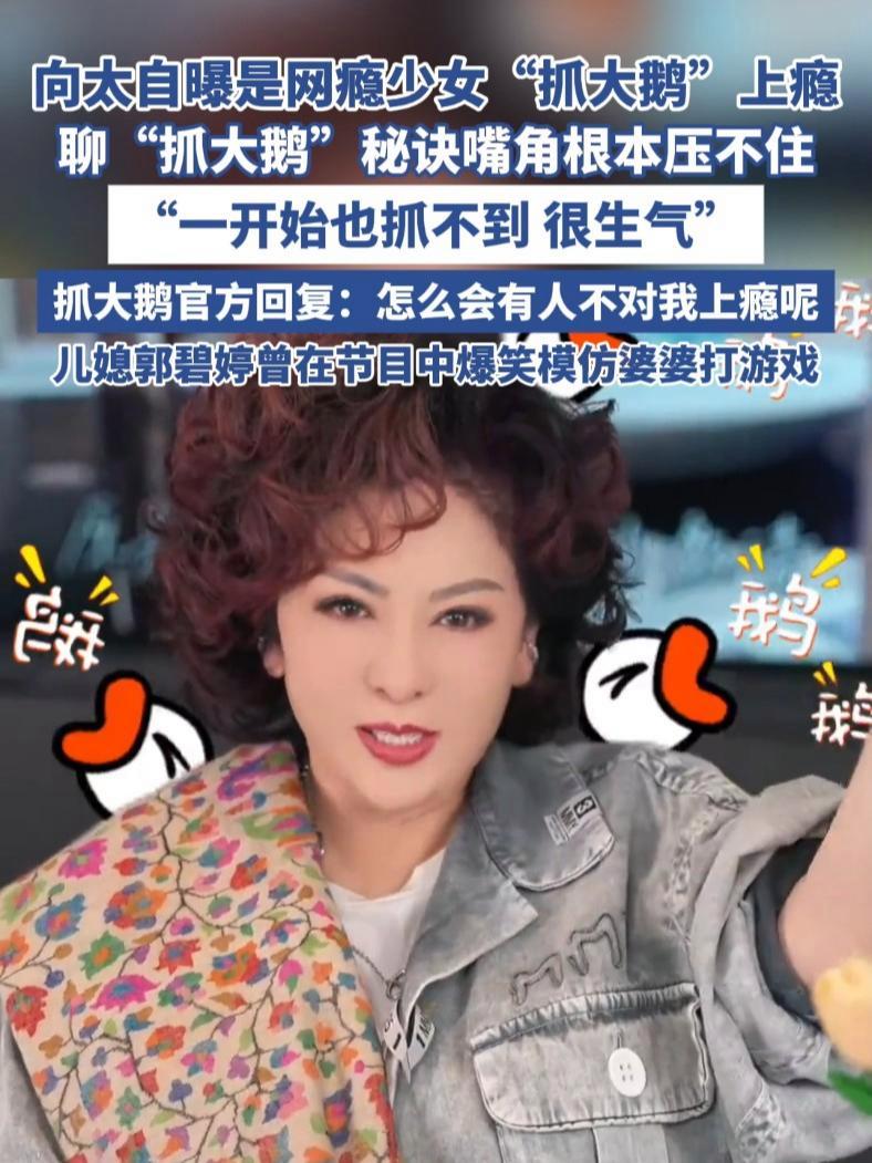 向太自曝是网瘾少女“抓大鹅”上瘾(梨视频)向太 向太陈岚 抓大鹅 消消乐 郭碧婷