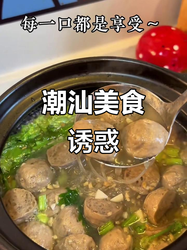 潮汕牛肉丸汤，简直美味到无法抗拒！