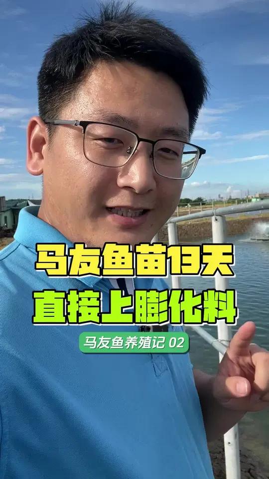 16万尾马友鱼第13天,每天吃50斤乐开花鱼苗料,算算成数怎么样
