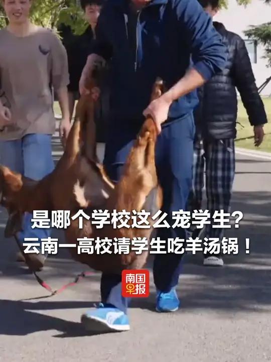 是哪个学校这么宠学生?云南一高校请学生吃羊汤锅!