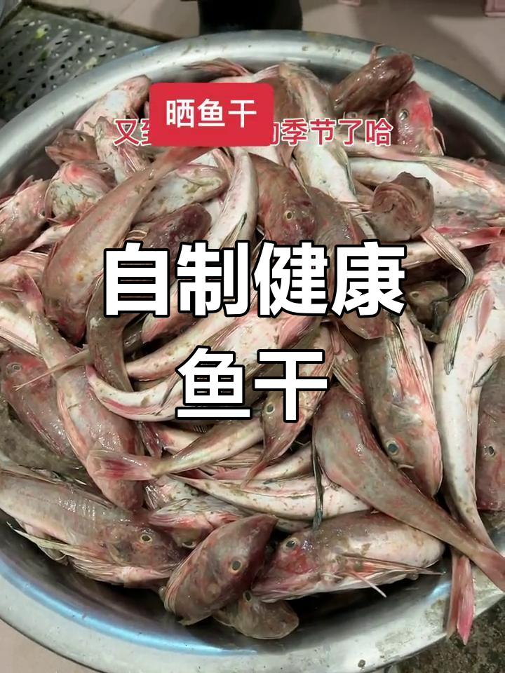 秋季晒鱼干技巧大揭秘,自家制作干净又放心