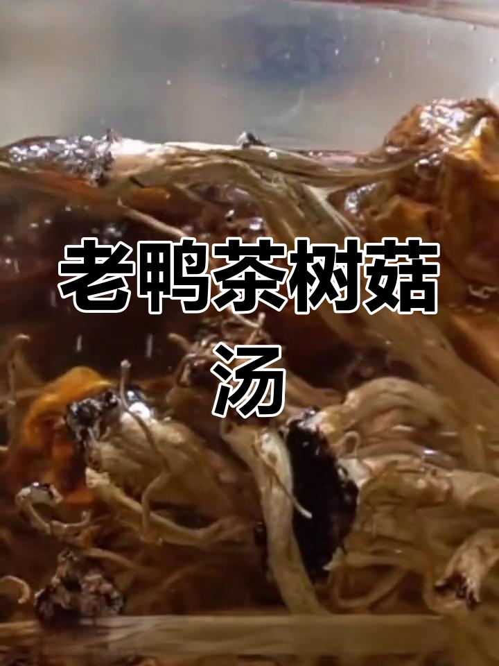 茶树菇与老鸭炖汤,香气扑鼻让人无法抗拒